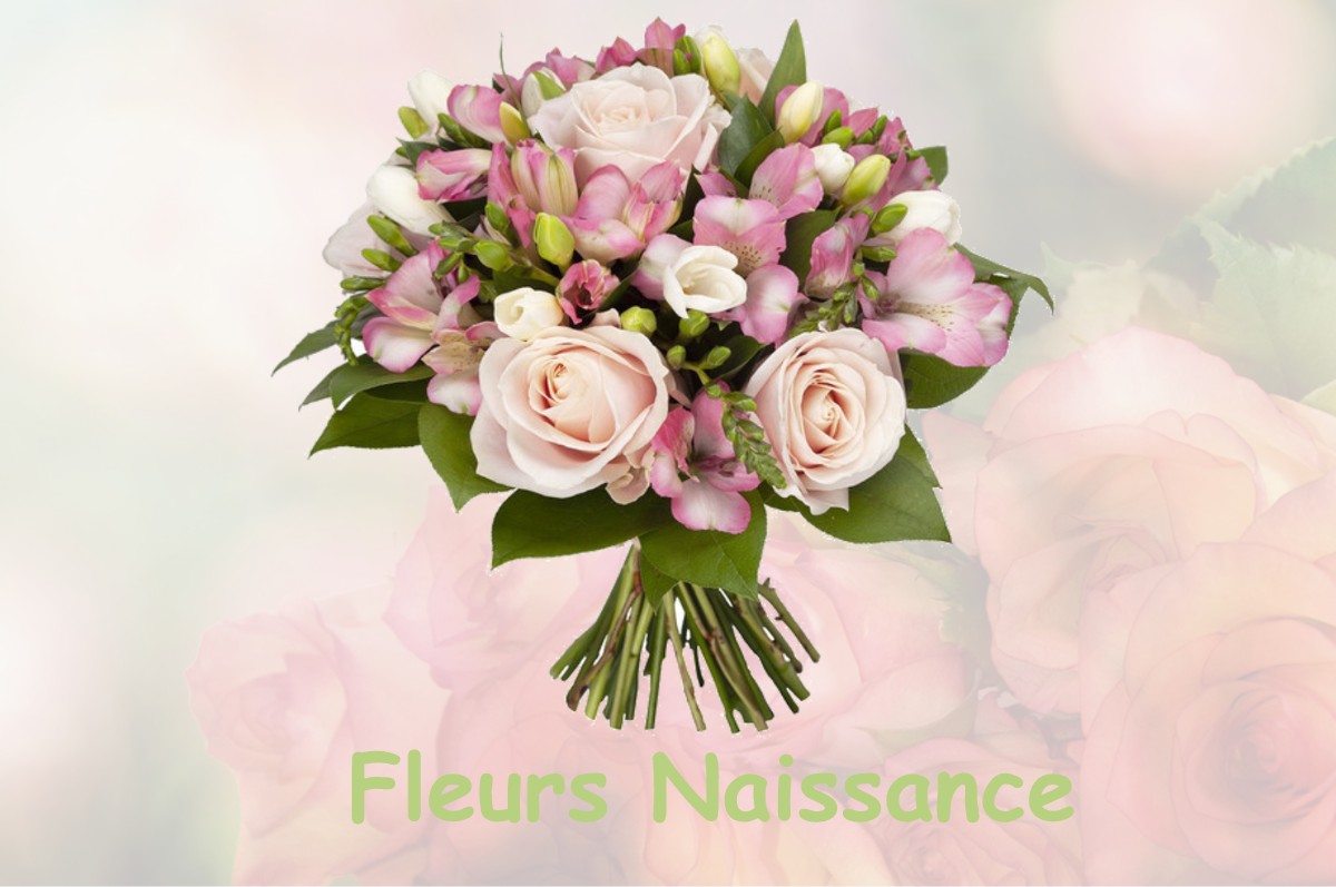 fleurs naissance SAINT-NIZIER-DE-FORNAS