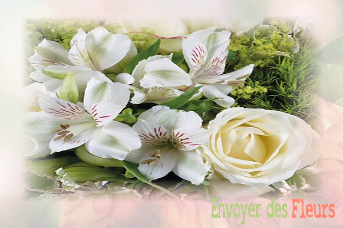 envoyer des fleurs à à SAINT-NIZIER-DE-FORNAS
